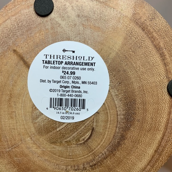 Threshold Staghorn Fern In Pot - Picture 5 of 5